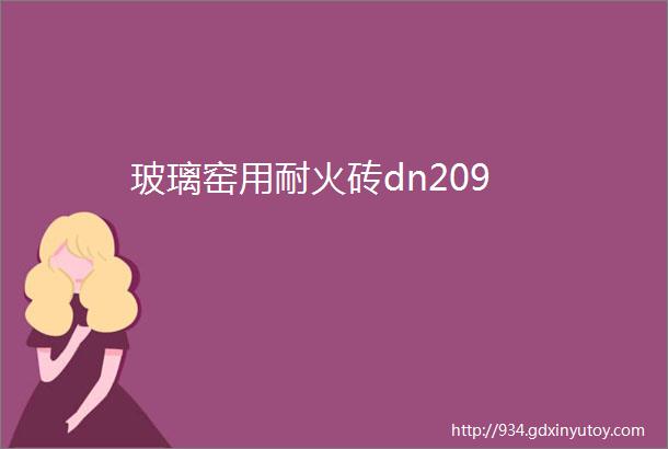 玻璃窑用耐火砖dn209