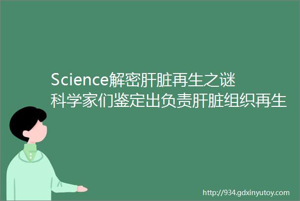 Science解密肝脏再生之谜科学家们鉴定出负责肝脏组织再生的细胞