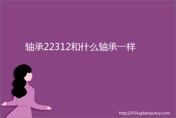 轴承22312和什么轴承一样