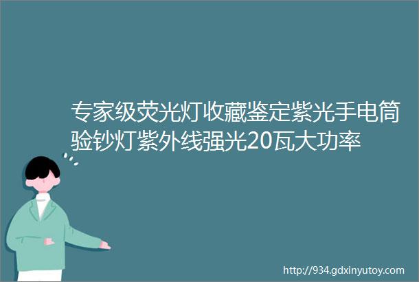 专家级荧光灯收藏鉴定紫光手电筒验钞灯紫外线强光20瓦大功率